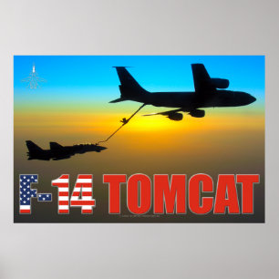 F-14 POSTER DE "REALIMENTAÇÃO" TOMCAT