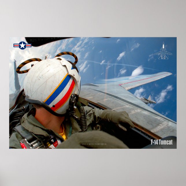 F-14 TOMCAT "CHECK SEX" POSTER (Frente)