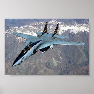 F-14 Tomcat com o poster unswept das asas
