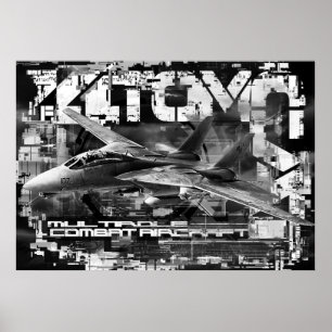 F-14 Tomcat Poster Paper (Matte) Poster