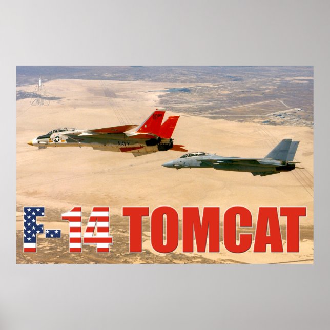F-14 TOMCAT "WINGMAN" POSTER (Frente)