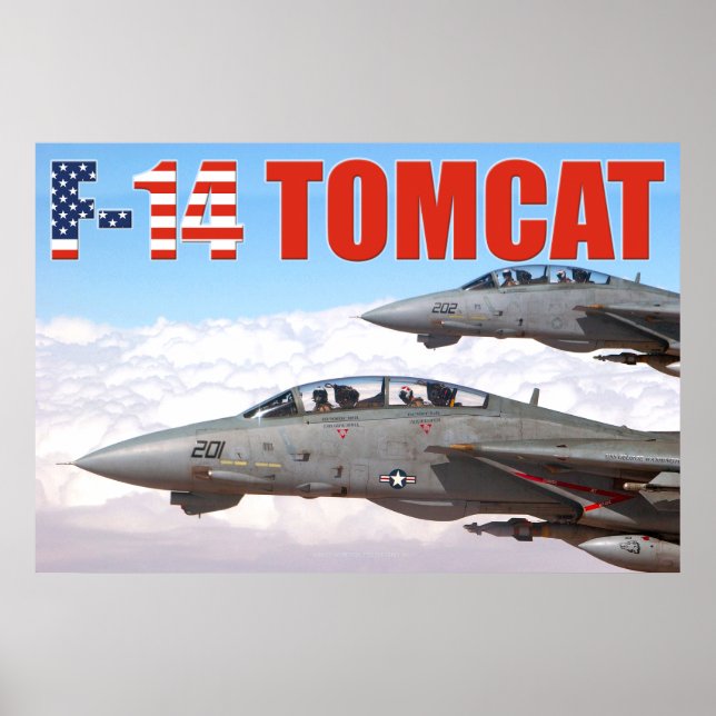 F-14 TOMCAT "WINGMAN" POSTER (Frente)