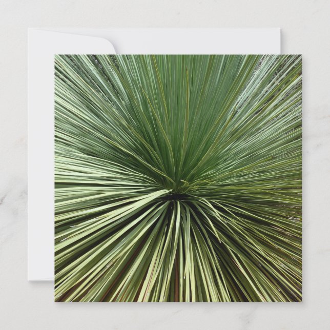 Fábrica Australiana - abstrato (Frente)