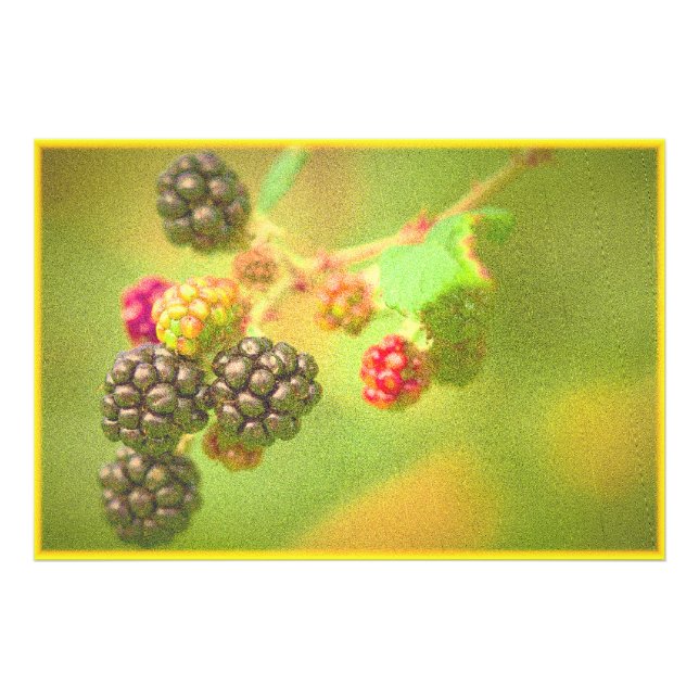 "Fábrica de Frutas Blackberry" Foto Grátis. Compre (Frente)