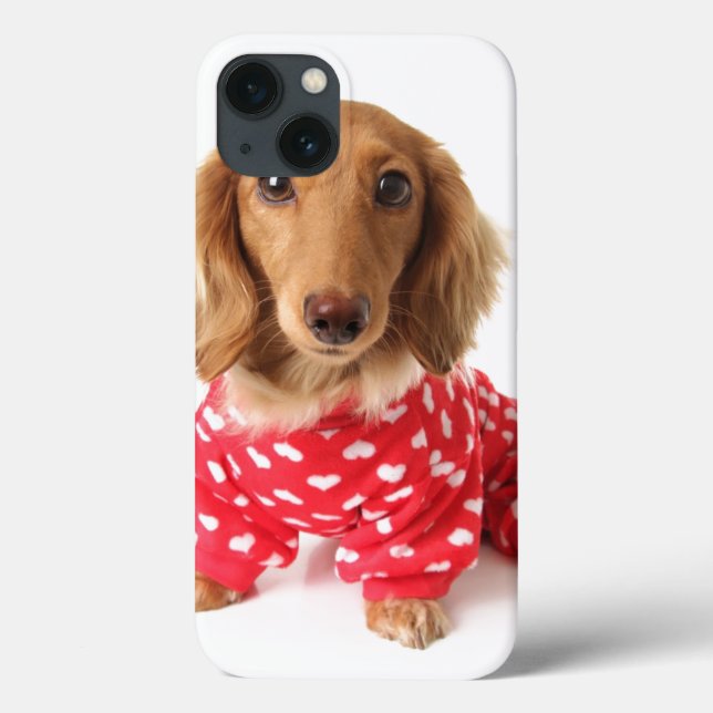 Fábrica de Namorados de Vestida de Dachshund Puppy (Verso)