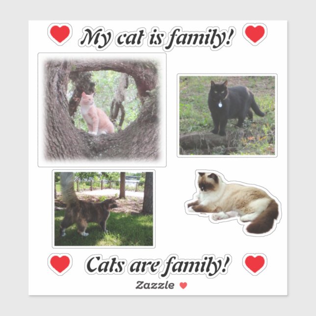 Faça o seu Modelo de adesivos para gatos (Folha)