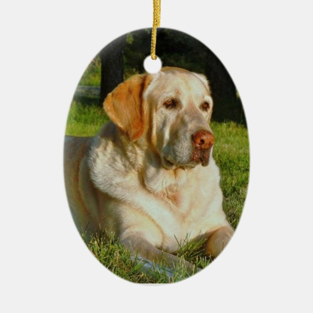 Faça seus próprios enfeites de natal do animal de (Frente)