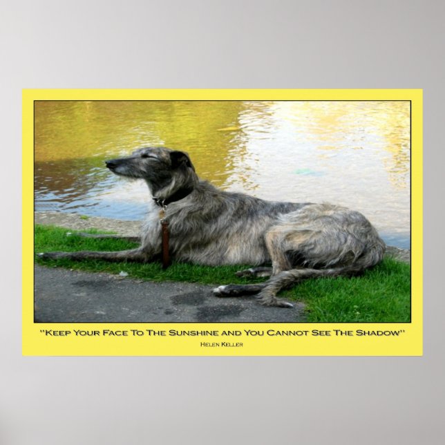 Face Ao Sol, impressão (Frente)