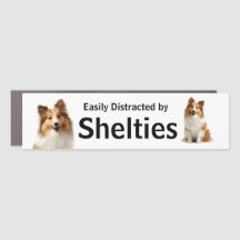 Facilmente Distraído pelo Humor dos Shelties
