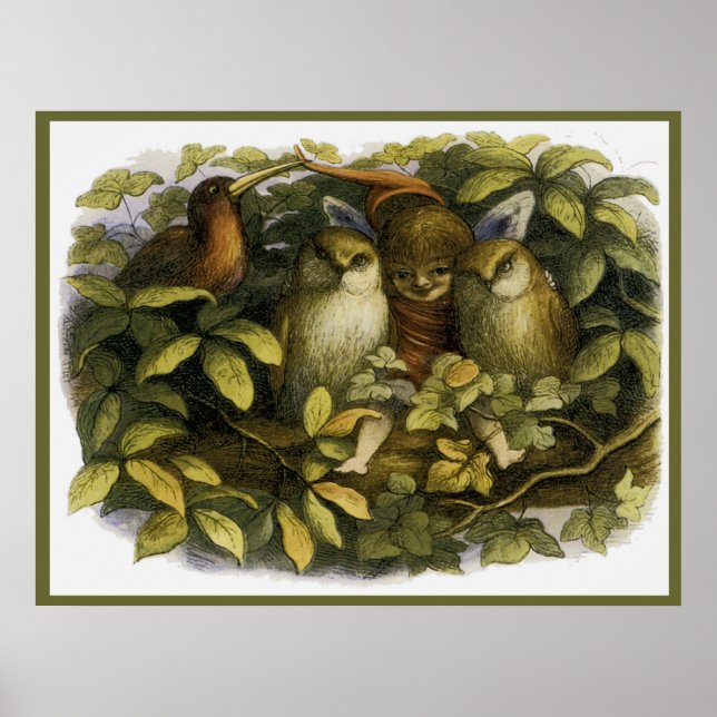 "Fada com Corujas" por Doyle - Impressão (Frente)