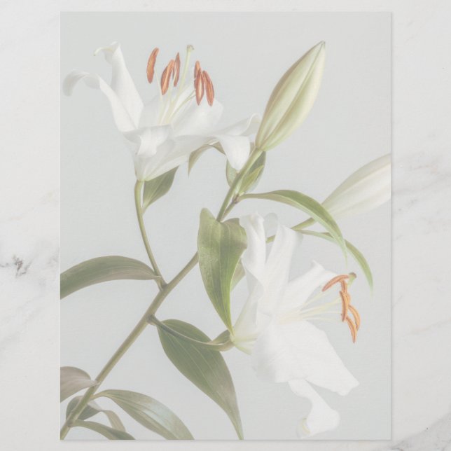 Faded white lily scrapbook paper (Frente)