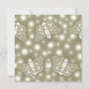 Fairy Moths