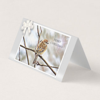 Faísca em um galho - Feliz Natal