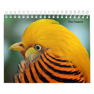 Faisões como calendários