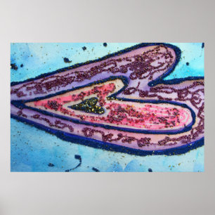 Faith Heart Poster Impressão