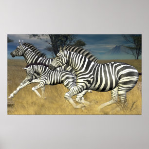 Faixas de Corrida - Impressão Zebra em Execução