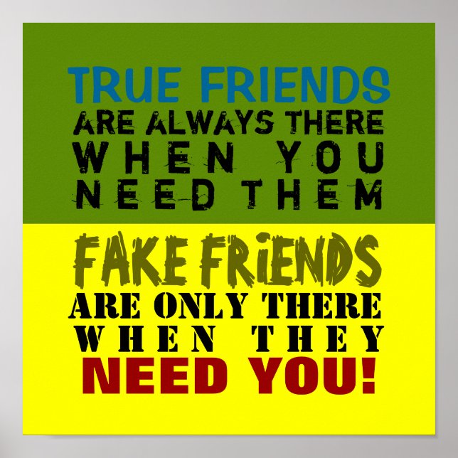 FAKE vs TRUE ~ 12X12 Poster (Frente)