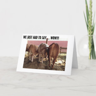 FALAR VACAS FAZER CARTÃO DE ANIVERSÁRIO DO GRUPO D