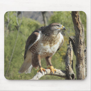 Falcão atado vermelho Mousepad