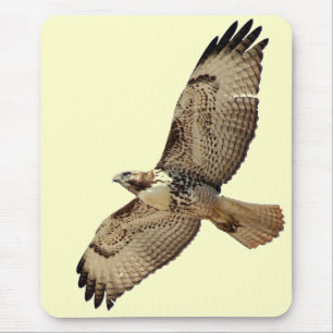 Falcão atado vermelho Mousepad