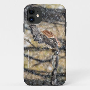 Falcão vermelho da cauda nas capas de iphone da