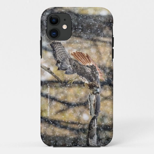 Falcão vermelho da cauda nas capas de iphone da (Verso)
