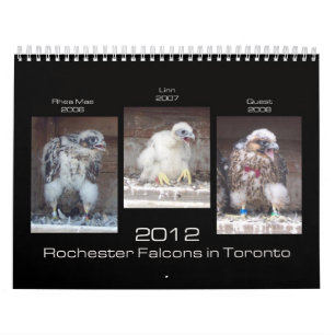 Falcons 2012 de Rochester no calendário de Toront