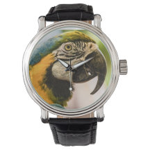 Fale como um relógio pirata