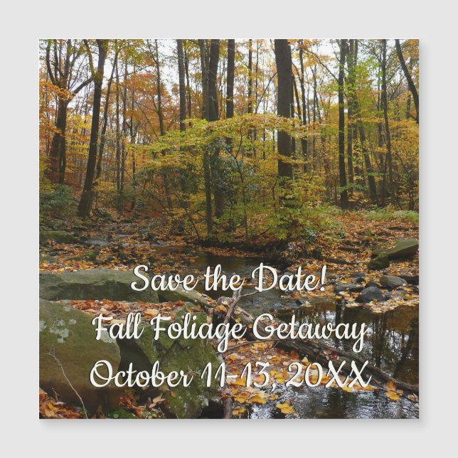 Fall Creek com Reflexão no Laurel Hill Park (Frente)