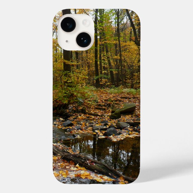 Fall Creek com Reflexo no Laurel Hill Park (Verso)