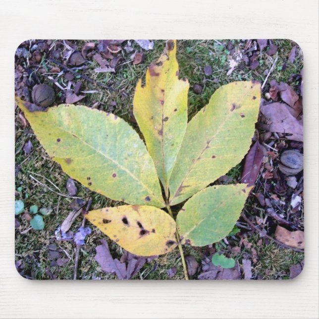 Fall Deixa o Mousepad (Frente)