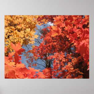 Fall Fantasy (2) Poster