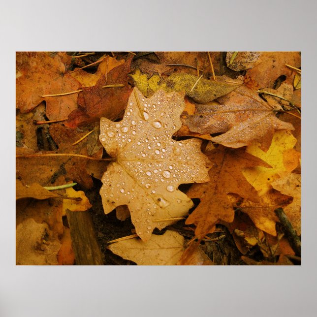 Fall Fantasy (30) Poster (Frente)