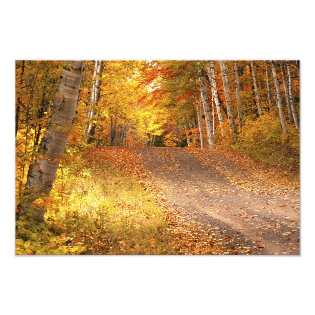 Fall Foliage Rural Road U.P. Michigan Fotografia (Frente)