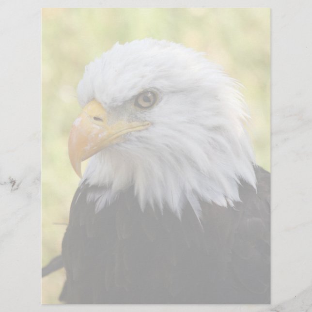 Falln Bald Eagle Liberty (Frente)