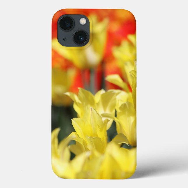 Falln Floral Summer Glow (Verso)