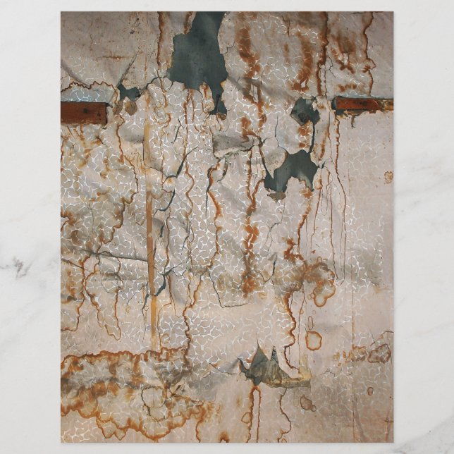 Falln Stainance Elegance (Frente)