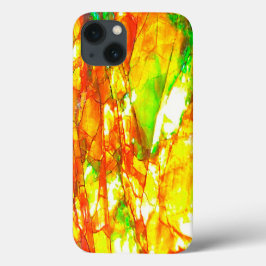 Falln Sunset Ammolite