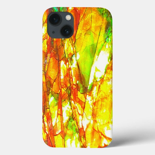 Falln Sunset Ammolite (Verso)