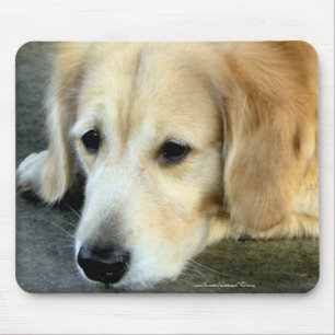 Faltando o/presente Mousepad do golden retriever