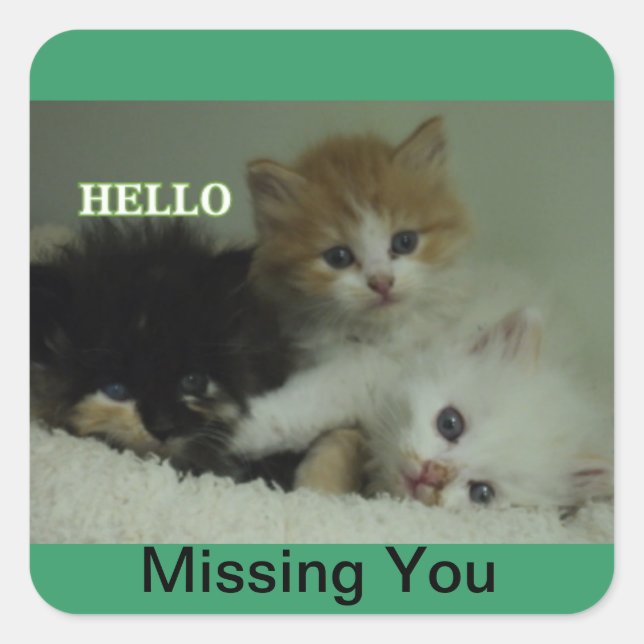 Faltando os adesivos de gatinhos (Frente)