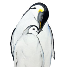 Família bonita de pinguins imperadores T-Shirt