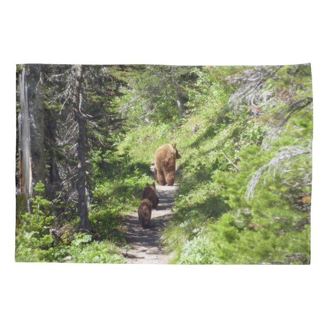Família Brown Bear (Verso)
