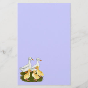 Família Crested Duck