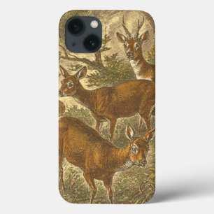 Família de Roe - Deers em Floresta