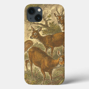 Família de Roe - Deers em Floresta