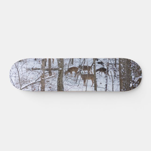 Família Deer No Skateboard Da Neve (Horz)