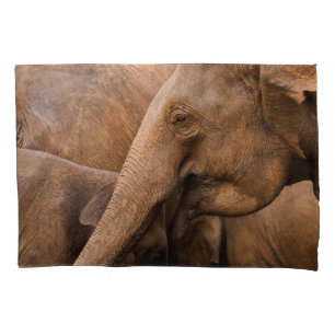 Família Elefante: Vida Selvagem Majestosa