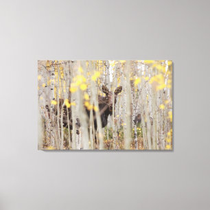 Família Mose na Arte Canvas dos Aspens
