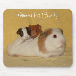 Família Mousepad da cobaia